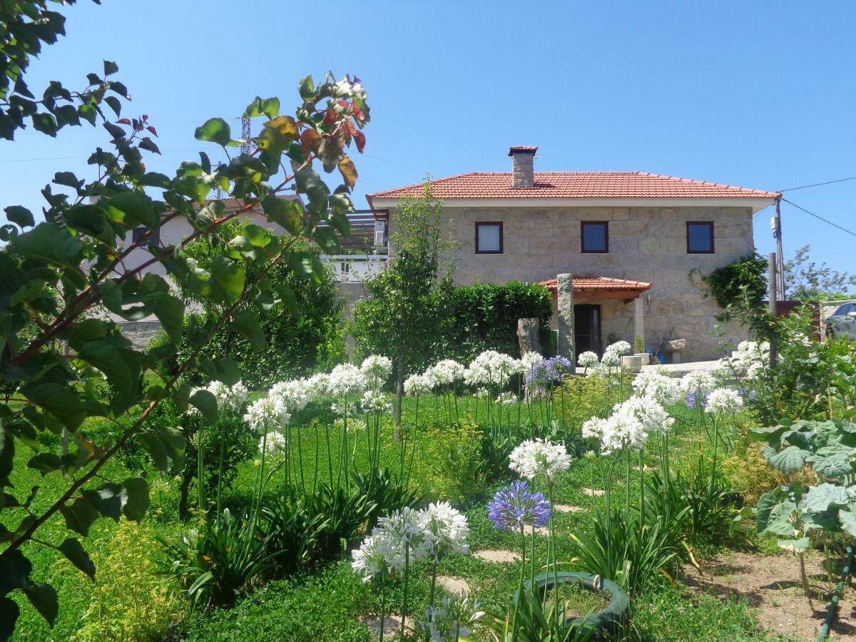Bernardes House Guest House Castelo de Paiva Exterior foto